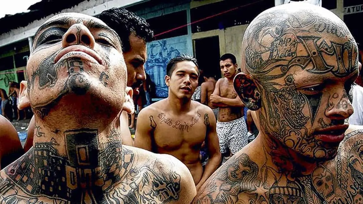 Mara Salvatrucha mata a 62 en un día; Gobierno restringe libertad