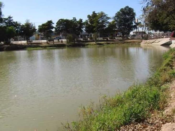 Buscan evitar mortandad de peces en Laguna Buscan evitar mortandad de peces en Laguna