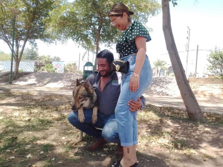 Terry no es un lobo, aclaran dueños del perro Terry no es un lobo, aclaran dueños del perro