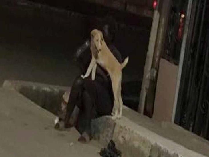 Todos la abandonaron, hasta su familia, menos su leal mascota Todos la abandonaron, hasta su familia, menos su leal mascota