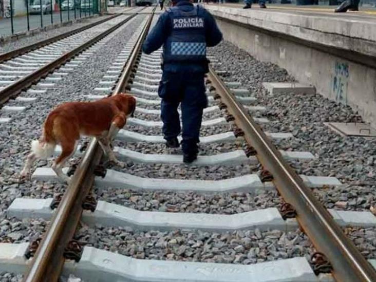 Joven muere arrollado por tren al intentar salvar a su perro Joven muere arrollado por tren al intentar salvar a su perro