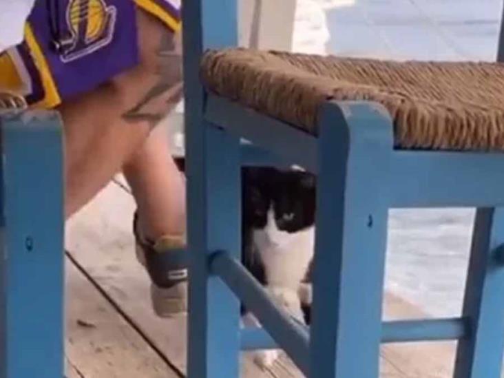 Video. Sujeto engaña a un gatito con comida para lanzarlo al mar Video. Sujeto engaña a un gatito con comida para lanzarlo al mar