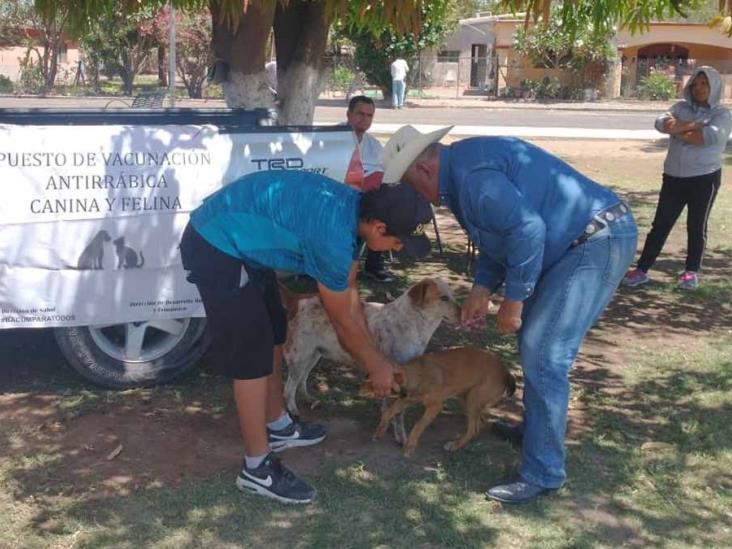 Buscan prevenir la rabia Buscan prevenir la rabia