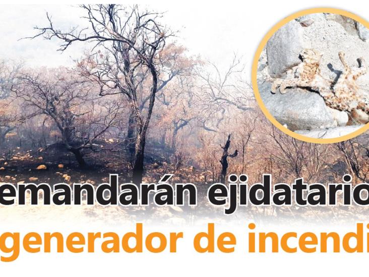 Demandarán ejidatarios a generador de incendio Demandarán ejidatarios a generador de incendio