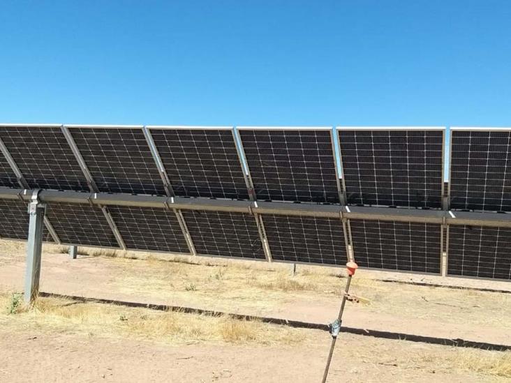 Pide Bacabachi más trabajo en el Paque Fotovoltaico Pide Bacabachi más trabajo en el Paque Fotovoltaico