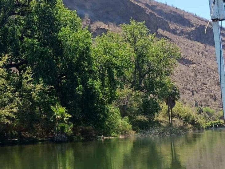 Río Yaqui: Paraíso Río Yaqui: Paraíso