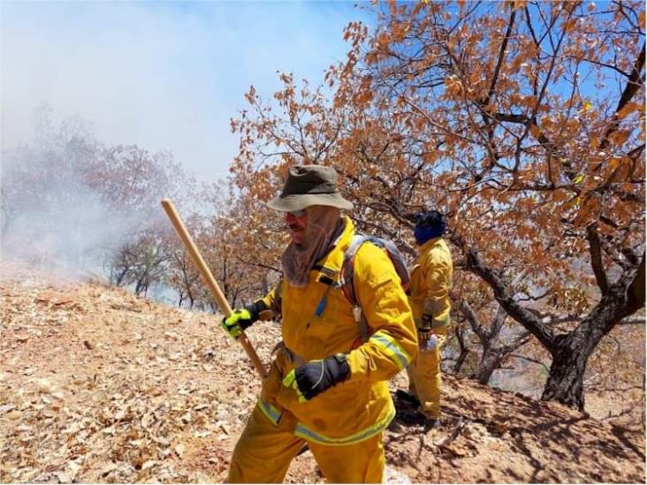 Bomberos tendrá brigada para incendios forestales Bomberos tendrá brigada para incendios forestales