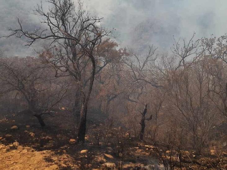 Buscan a los iniciadores del incendio en Álamos Buscan a los iniciadores del incendio en Álamos