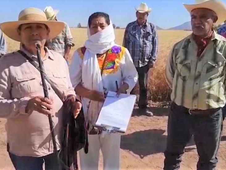Pelean por campo agrícola Pelean por campo agrícola