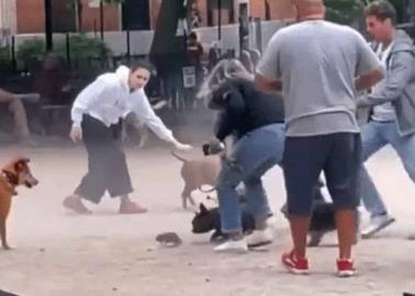 VIDEO: Rata arma tremendo caos entre perros en un parque