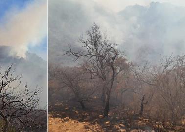 Camina lento, juicio de incendio forestal