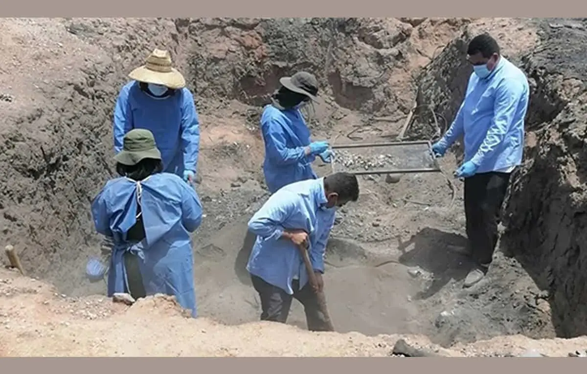 Descubren horno con restos humanos en Pitiquito, Sonora
