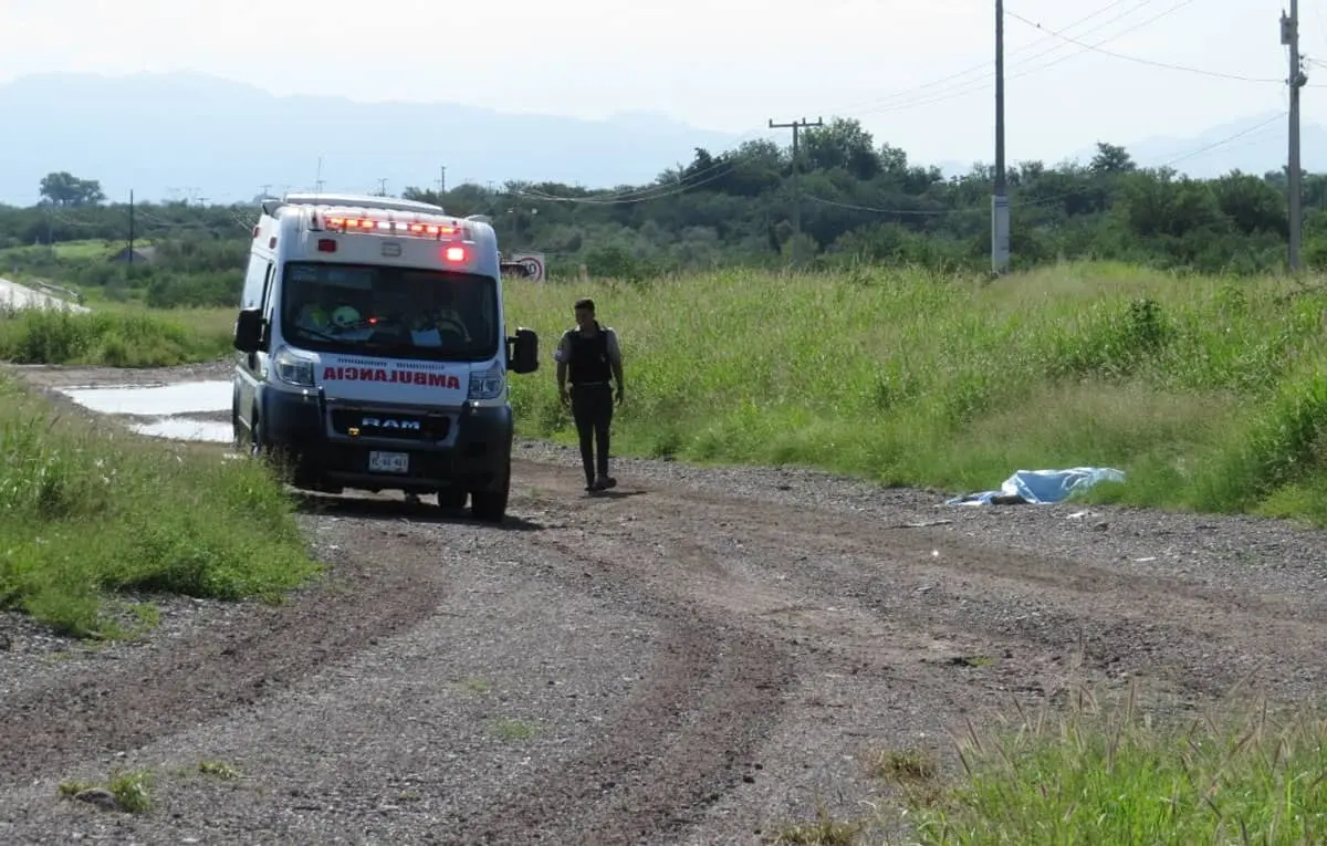 Muere al ser arrollado en la México 15