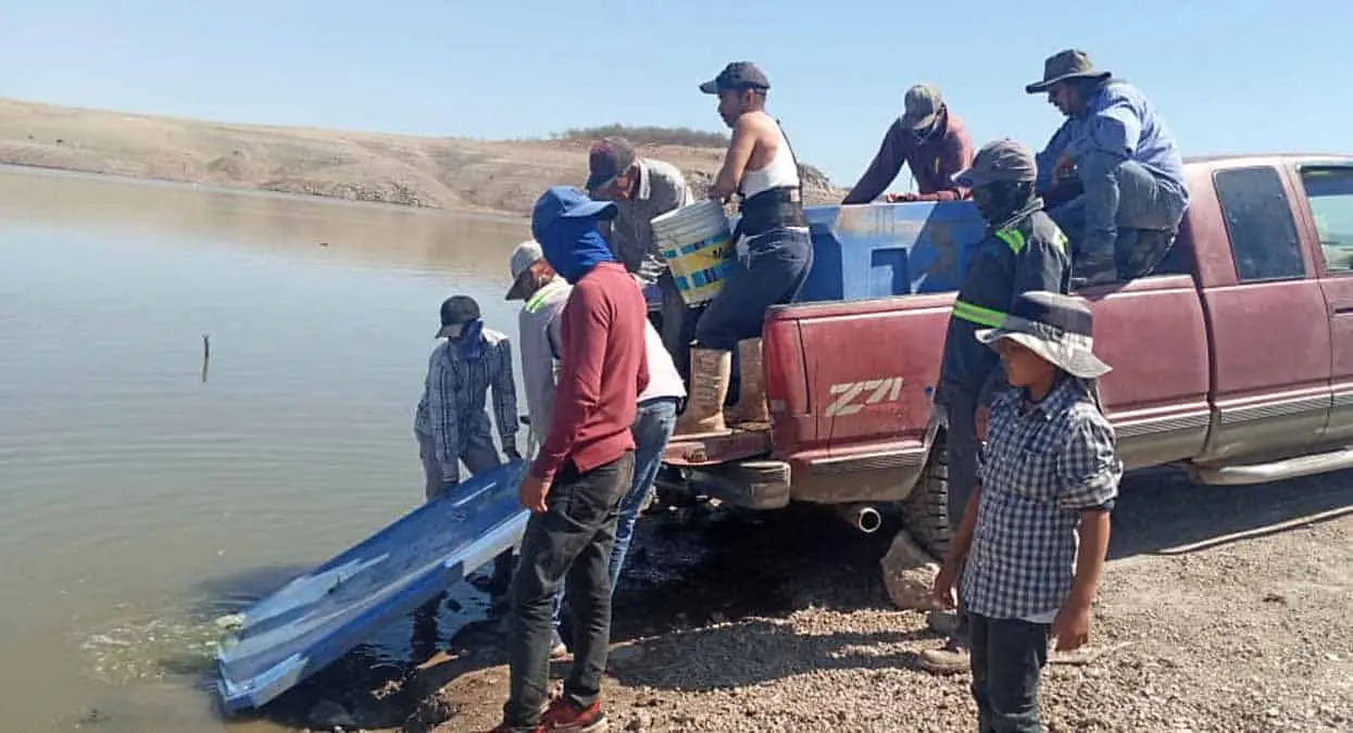 Crece pesca en la presa
