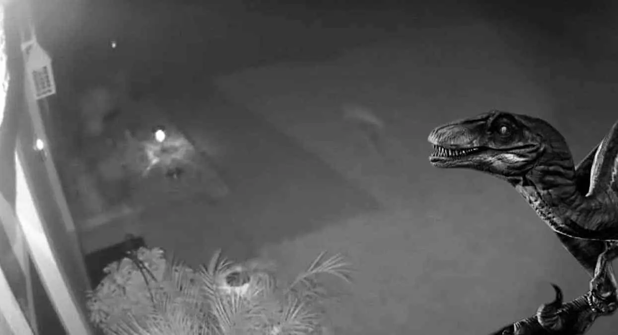 VIDEO. Mujer asegura que un dinosaurio merodea en su jardín