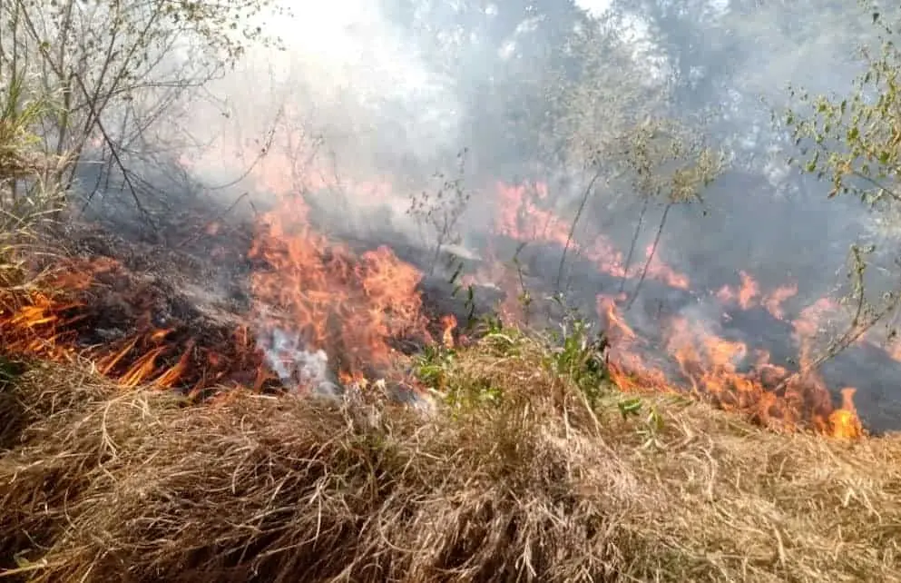Incendios en Álamos dañan 30 hectáreas
