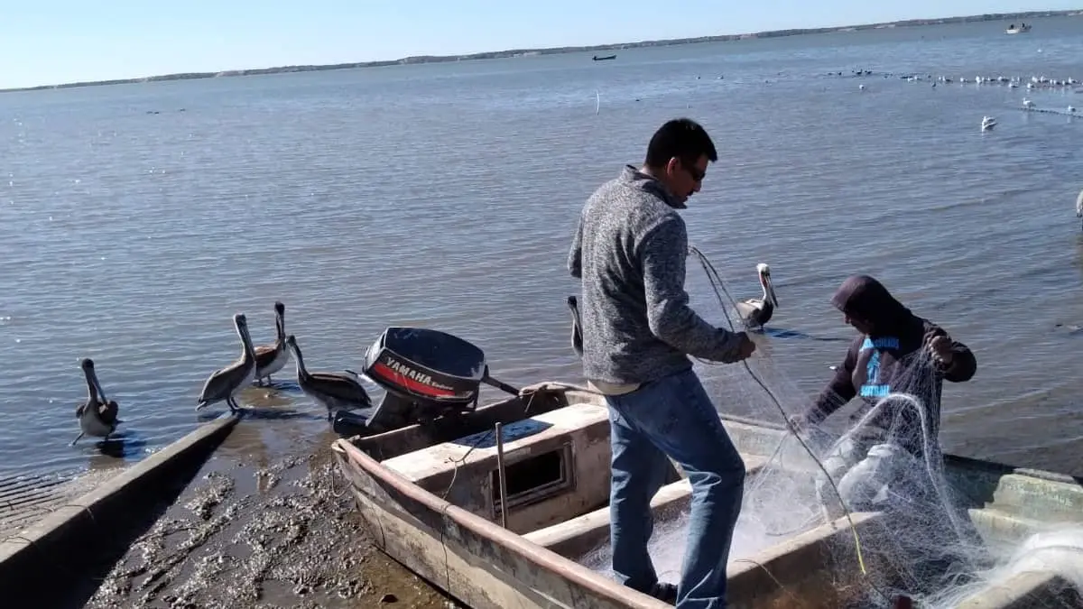 Migran pescadores a otros puertos pesqueros