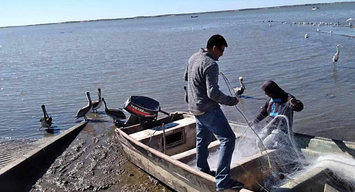 Dotarán de brazaletes a los pescadores de BJ