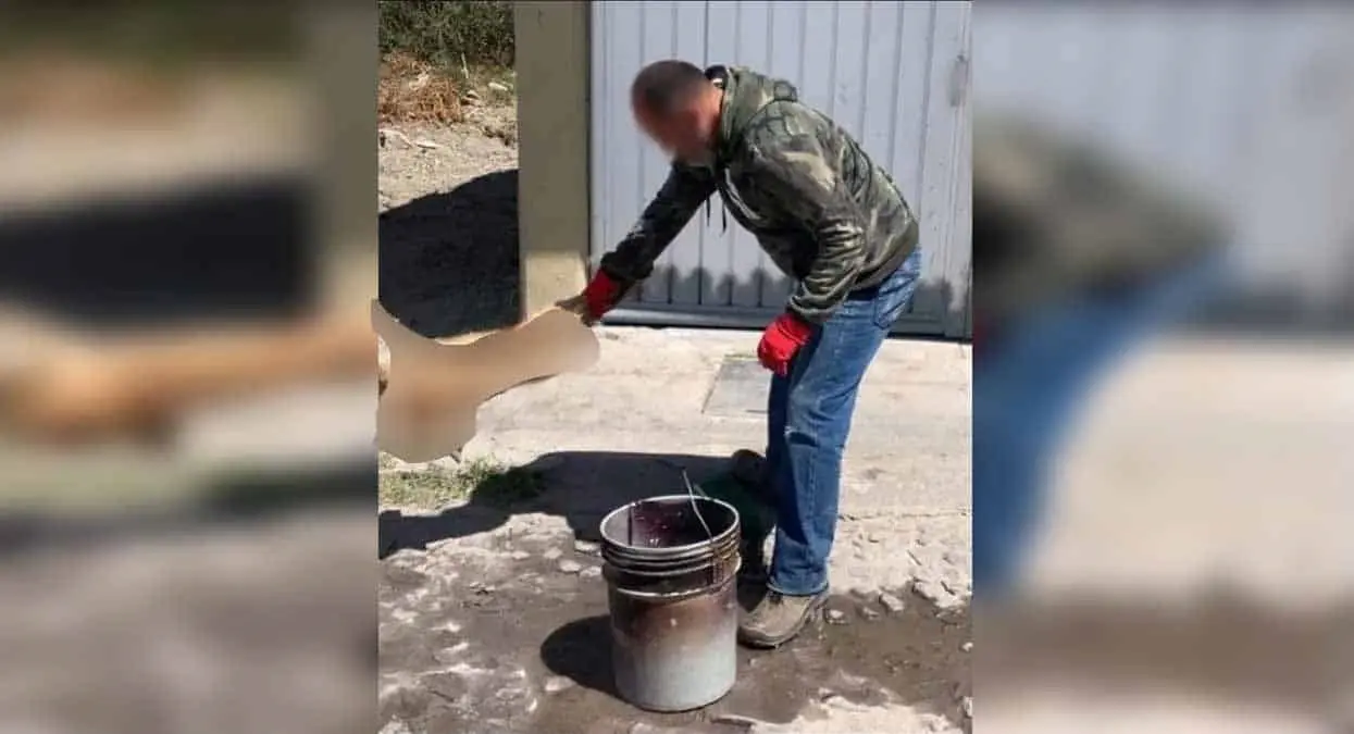Captan a hombre azotando a un perrito contra el suelo
