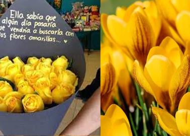 ¿Qué significa regalar flores amarillas el 21 de marzo?