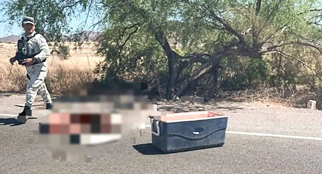 Abandonan una hielera con restos humanos en la carretera
