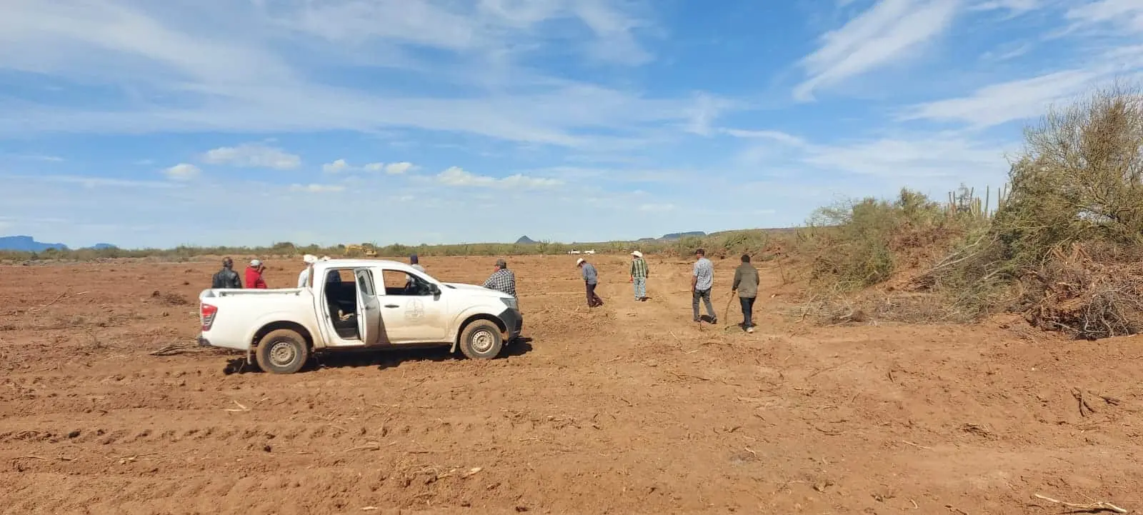 En Loma de Bácum, incorporarán 100 hectáreas al cultivo orgánico