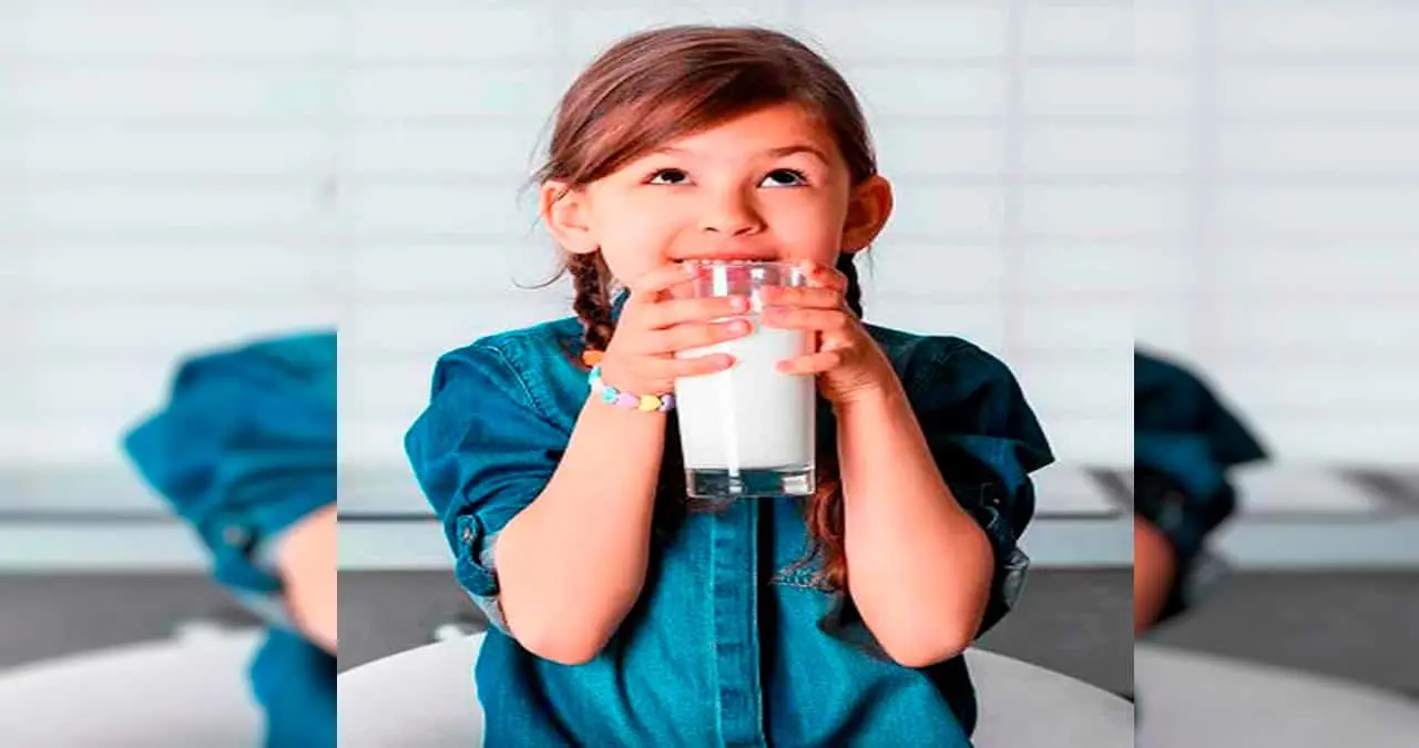 ¿Te gusta la leche? Conoce cuáles son las marcas que Profeco recomienda