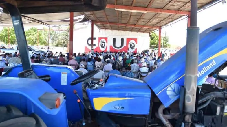 Sonora. Productores de trigo no consiguen subsidios para el cereal; analizan acciones