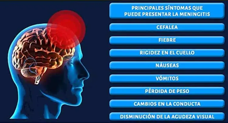 imagen-cuerpo