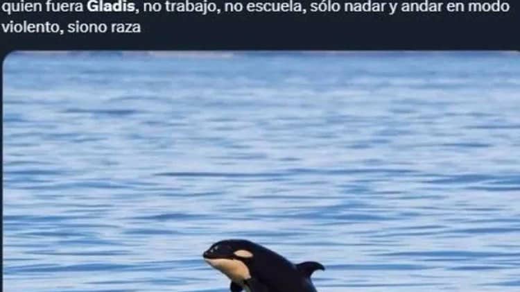 imagen-cuerpo