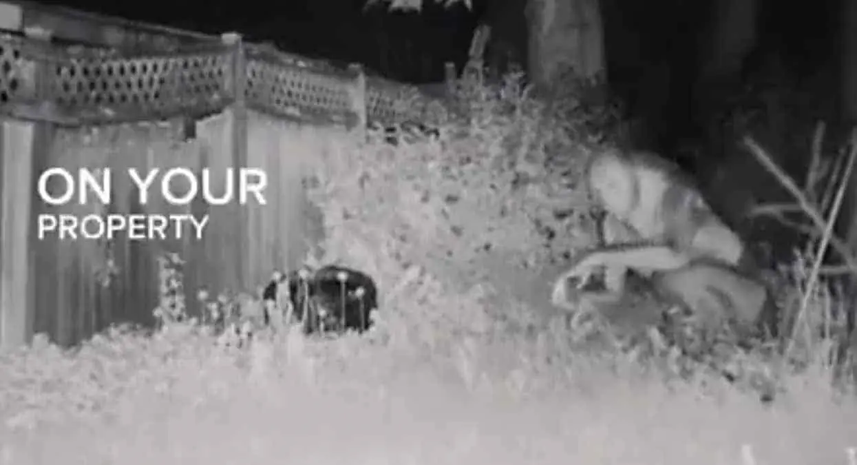 VIDEO | Captan supuestos aliens en el patio de una casa en Las Vegas