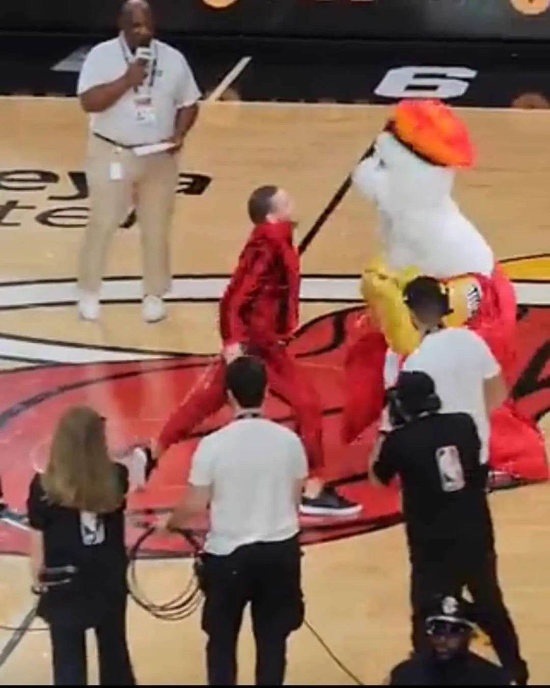Conor McGregor agrede y noquea a mascota