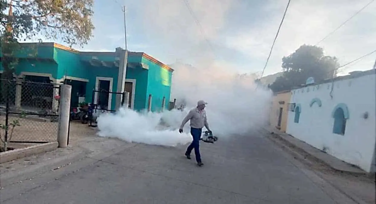 Refuerzan fumigación tras positividad en ovitrampas