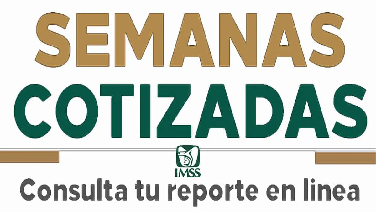 Así puedes recuperar tus semanas cotizadas en el IMSS