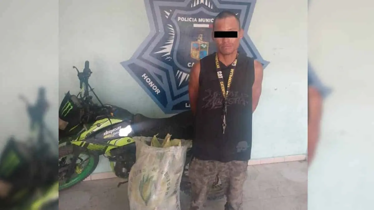 En Ciudad Obregón capturan a presunto ladrón de elotes