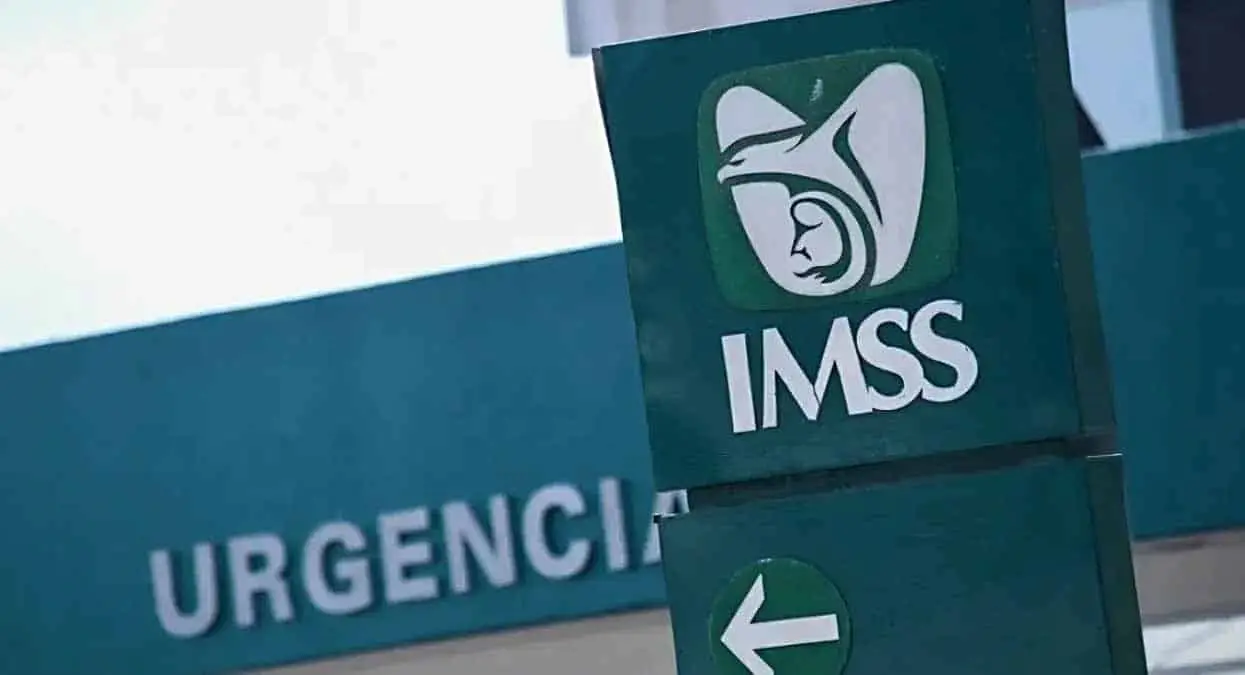Estos beneficios te ofrece la Modalidad 33 del IMSS que no te da la Modalidad 40