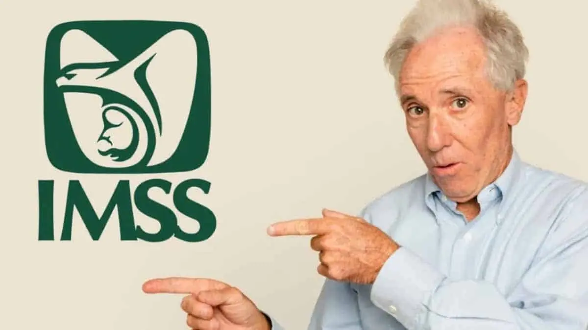 ¿Cómo funciona la cesantía en la Ley 97 del IMSS y cuáles son los beneficios?