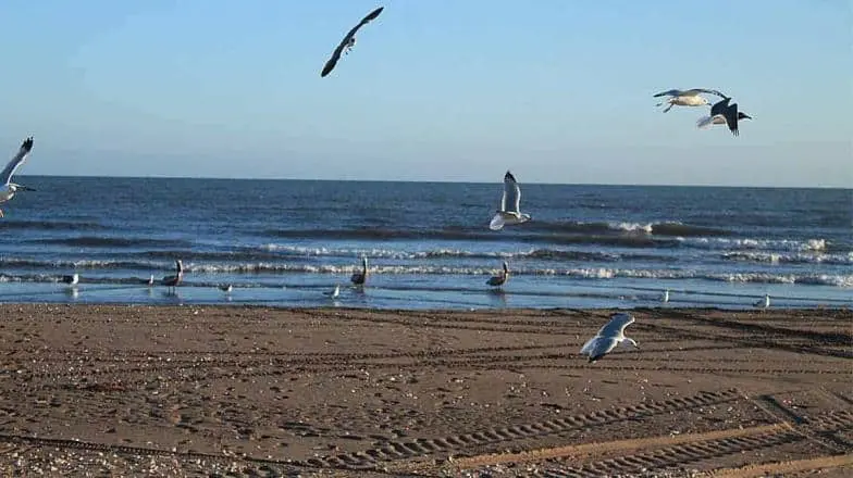 Estas son las playas más bonitas y cercanas al municipio de Cajeme, Sonora