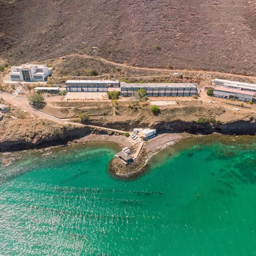 Granja de Perlas del Mar de Cortez, un sitio obligado por conocer en Sonora ¡no hay otra igual!