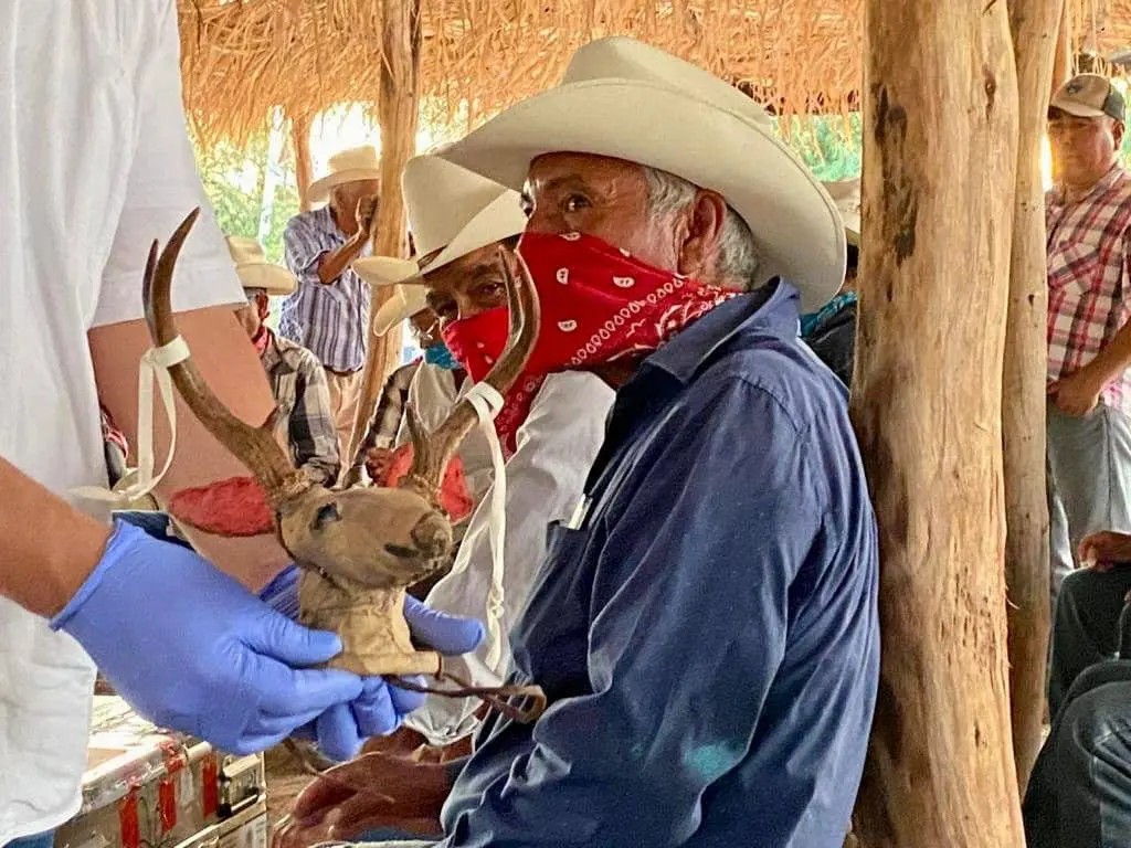 Piezas Yaquis que estaban en Suecia llegan a territorio de la etnia