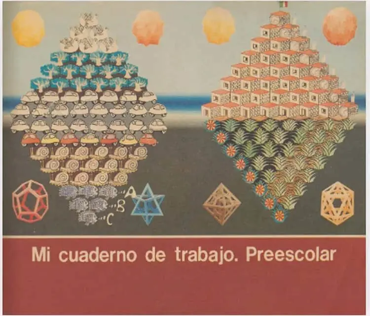 imagen-cuerpo imagen-cuerpo