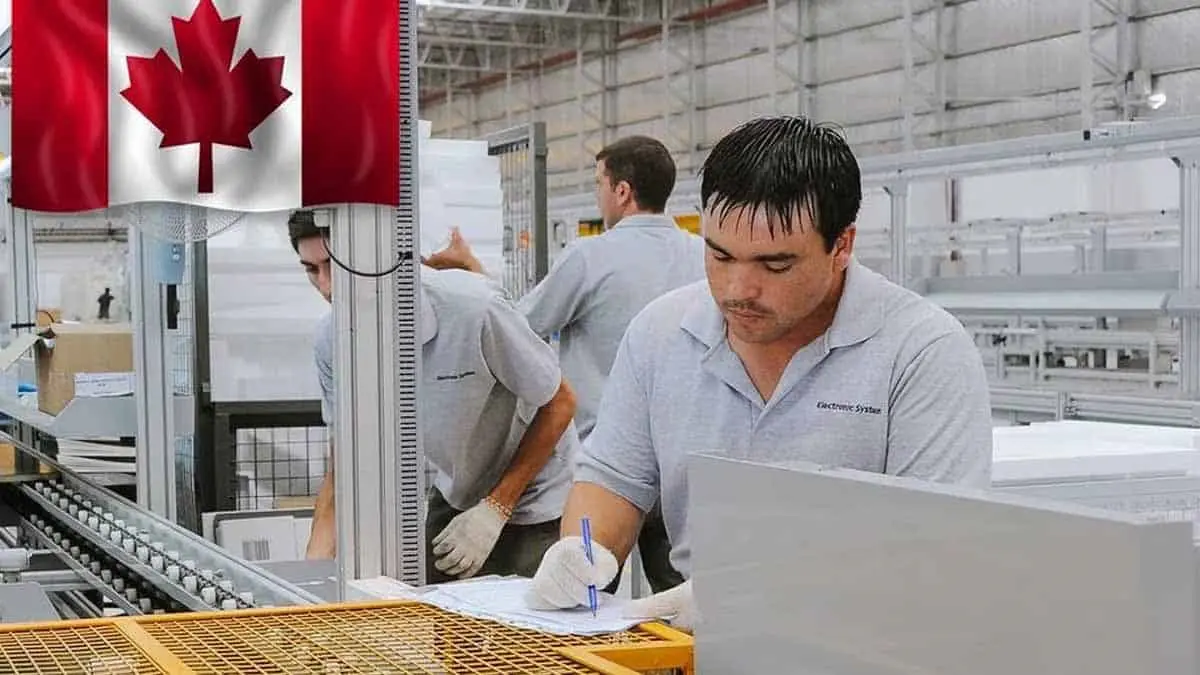 Empresa de Canadá anuncia trabajo para mexicanos, no piden inglés. Aquí los requisitos