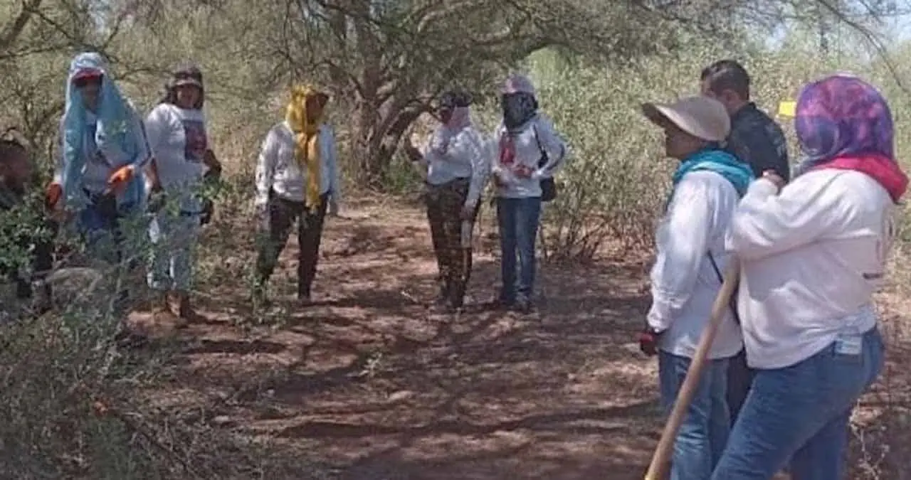 Búsqueda positiva en el Valle de Guaymas