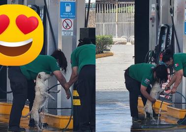 Empleadas de una gasolinera bañan a un cachorro y las redes sociales se conmueven