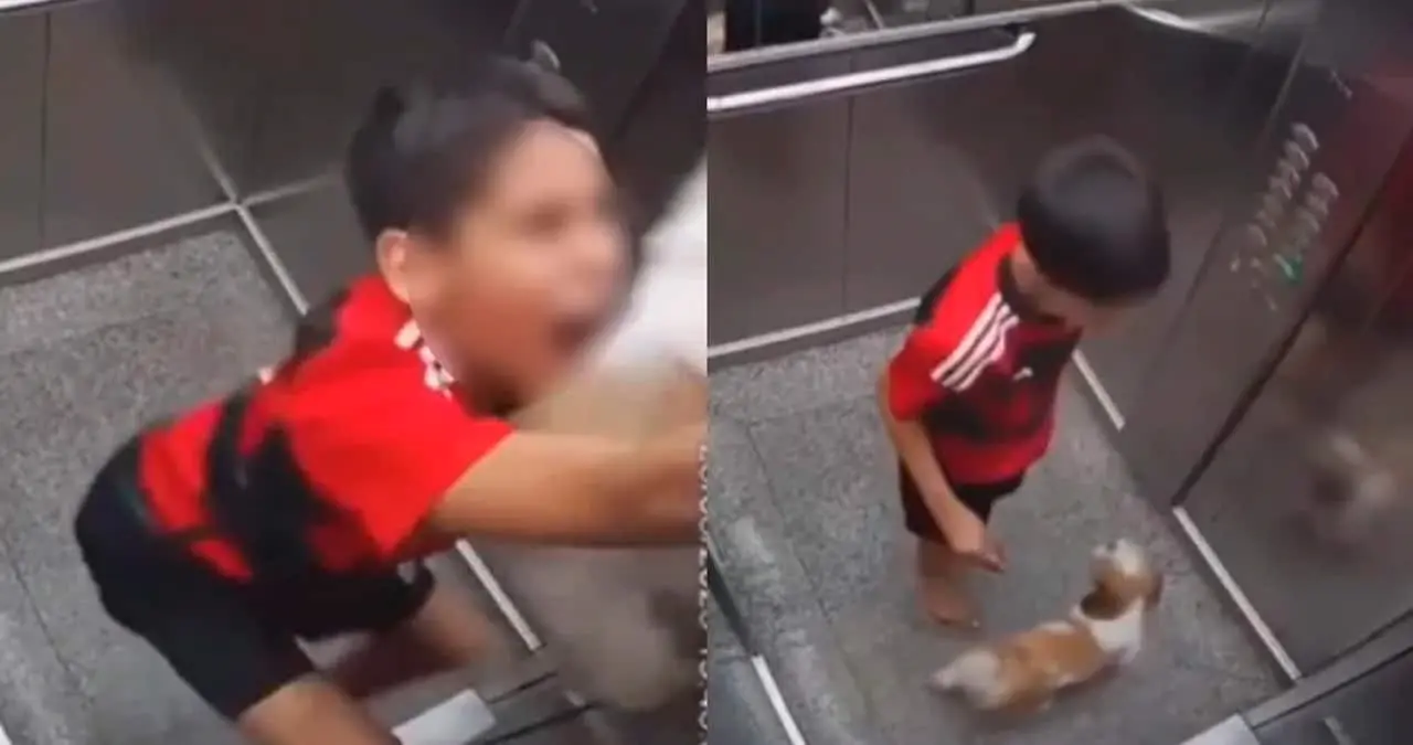 VIDEO | Niño salva a su perro de quedarse atorado en la puerta de un elevador