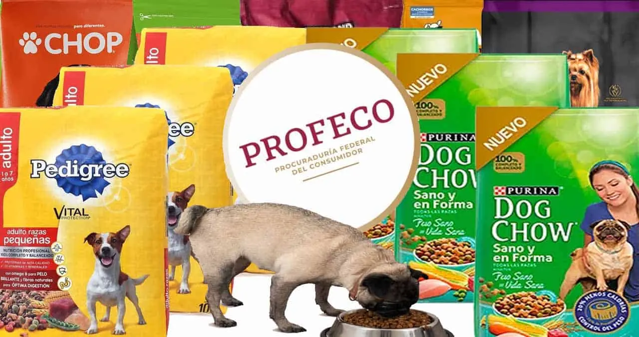 Profeco: Estas son las 5 mejores marcas de croquetas para perro