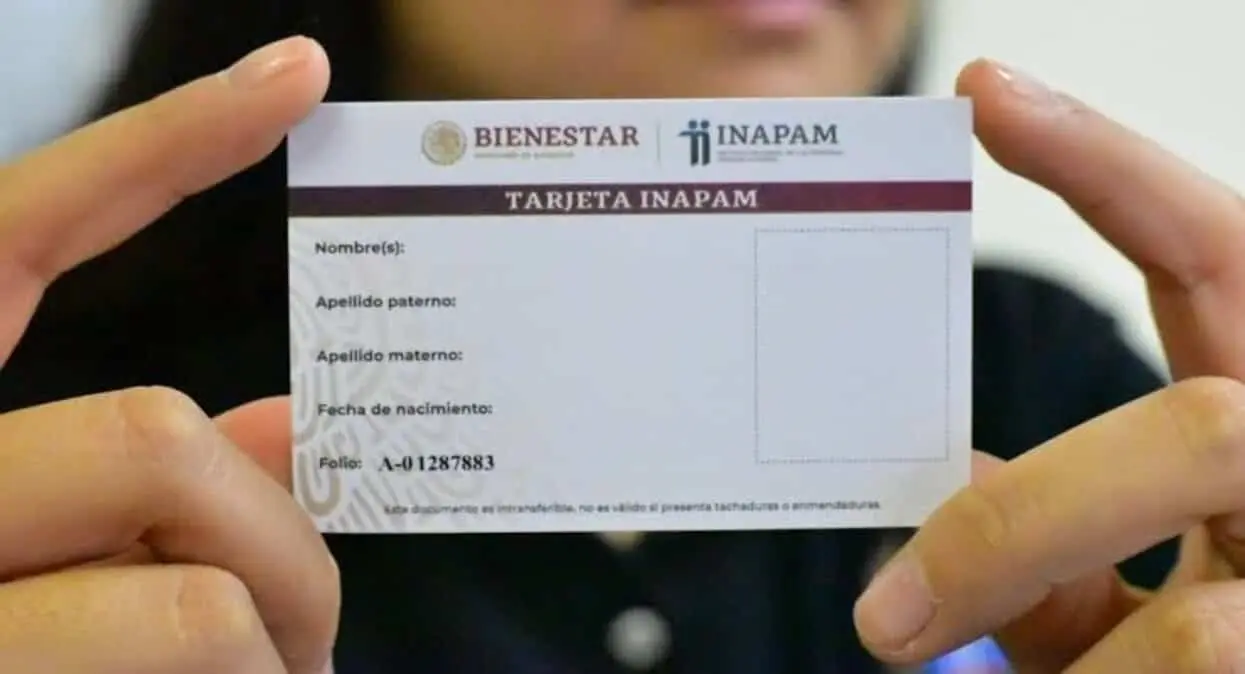 Tarjeta Inapam: estos son los beneficios que tendrán los usuarios en el megapuente de noviembre