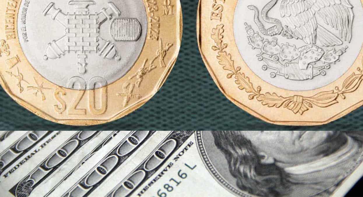 Precio del dólar hoy 14 noviembre: el superpeso se recupera