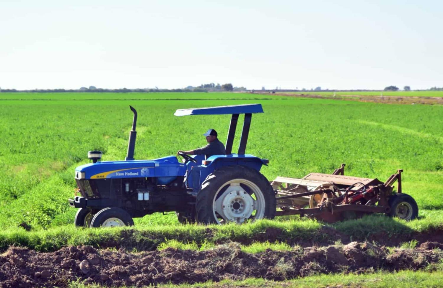 Campo, el “perdedor” en 2024