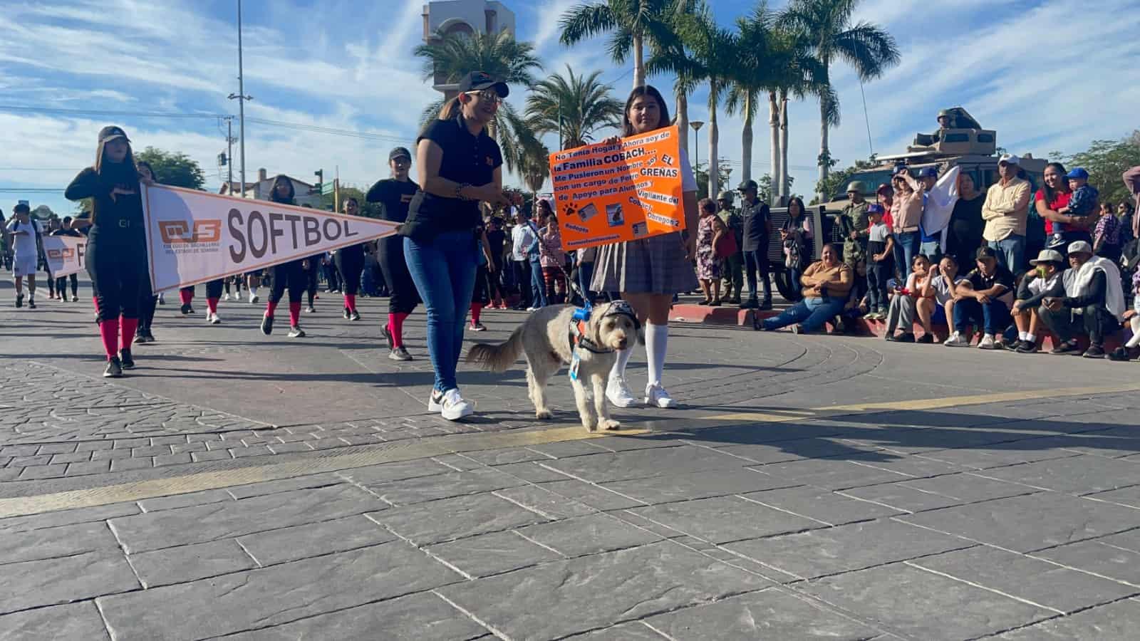 VIDEO | El Greñas, la mascota del Cobachito, presente en el desfile revolucionario en Cajeme 